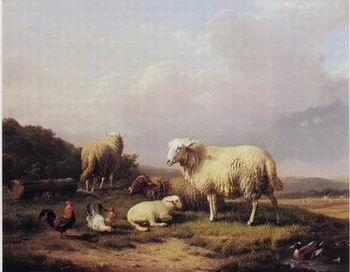 Sheep 172